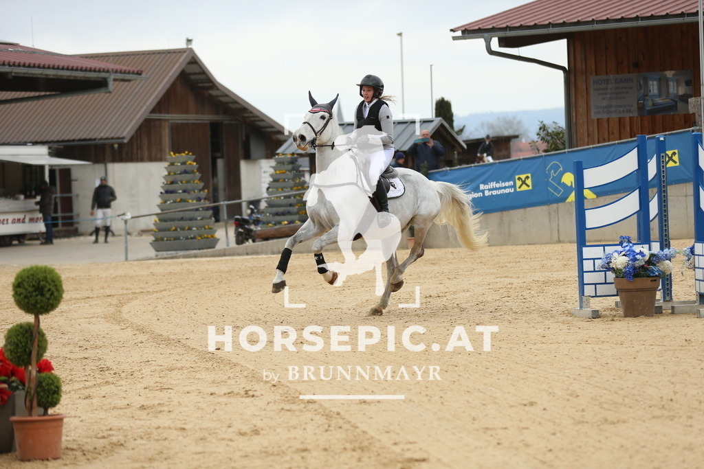 DL2Q5617 | Willkommen bei Brunnmayr - Design & Fotografie – Ihrem Spezialisten für Reitturniere und Pferdeveranstaltungen in Oberösterreich, Salzburg und Bayern! Seit über 17 Jahren sind wir leidenschaftlich dabei.