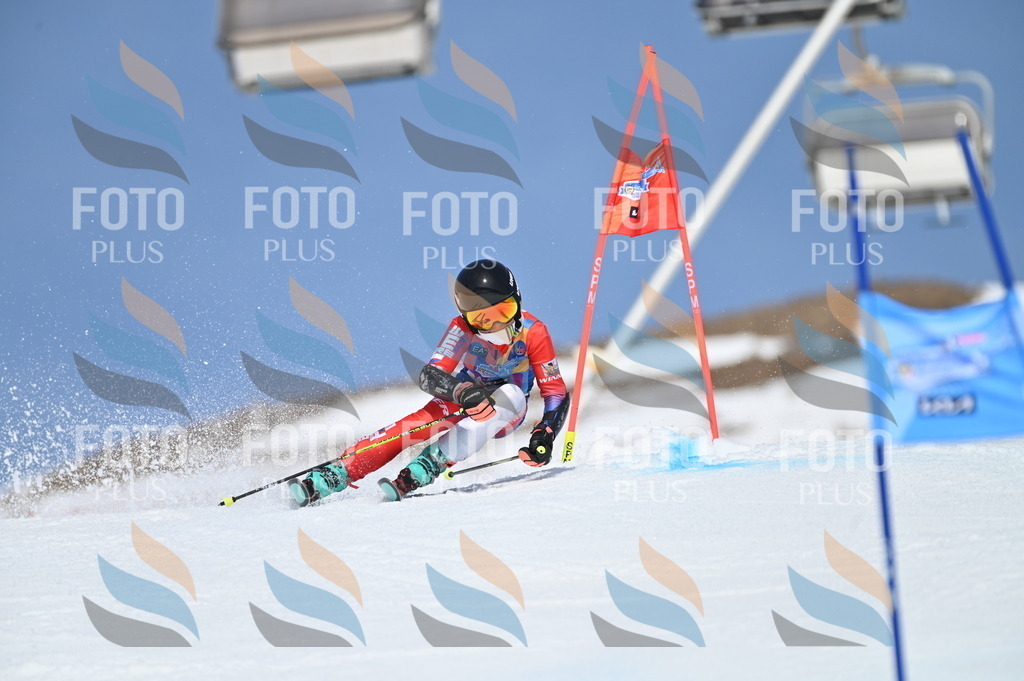 BGV_0779 | holidayphoto