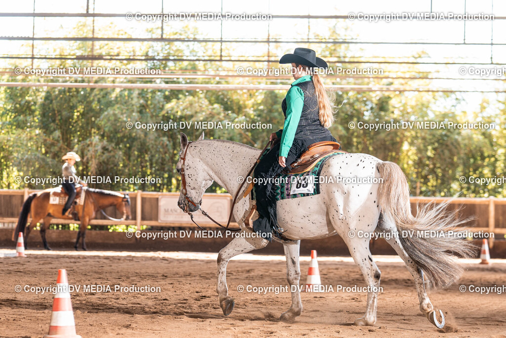 Erbach Tag 3-357 | dv-media-shop - Realisiert mit Pictrs.com