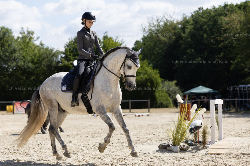 WA_Trail_39_KerstinBernhardt-16 | working equitationturnier fotograf videograf stoibphotography marixx film working equitation deutschland reitsport turnierfotografie eventfotografie equestrian events