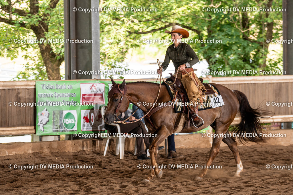 Erbach Tag 1-1063 | dv-media-shop - Realisiert mit Pictrs.com