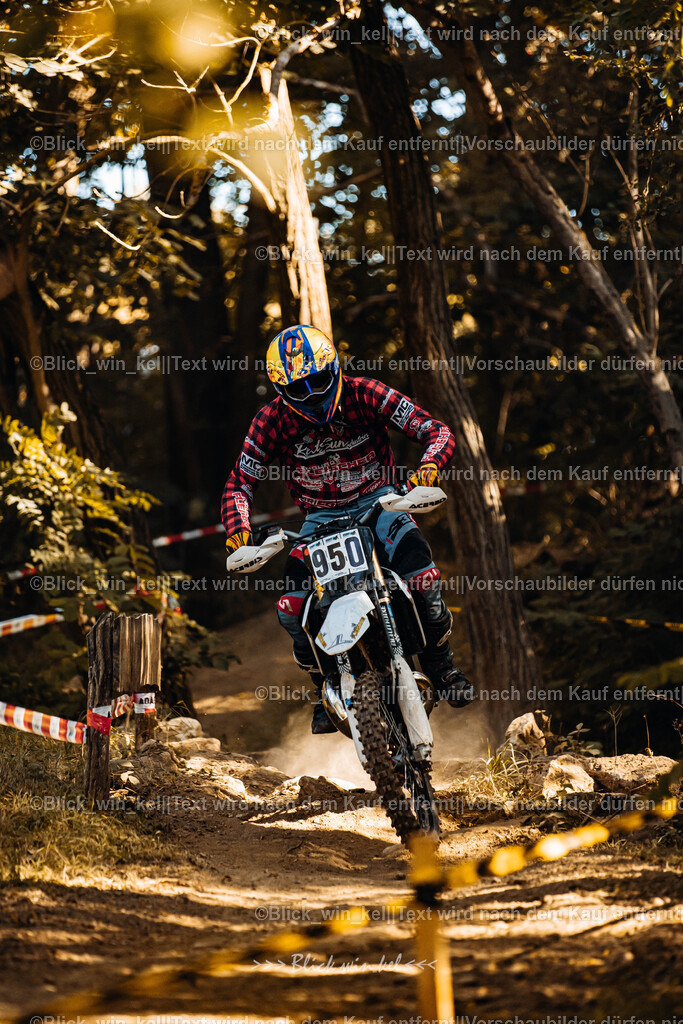 E68A5588 | blick_win_kel