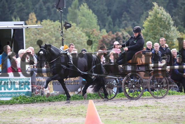 Sankt_Märgen_Rossfest_2025_Schauprogramm (69) | Alle Fotos der Reiterjournal Fotografin Doris Matthaes im Reiterjournal Online-Fotoshop. - Realisiert mit Pictrs.com