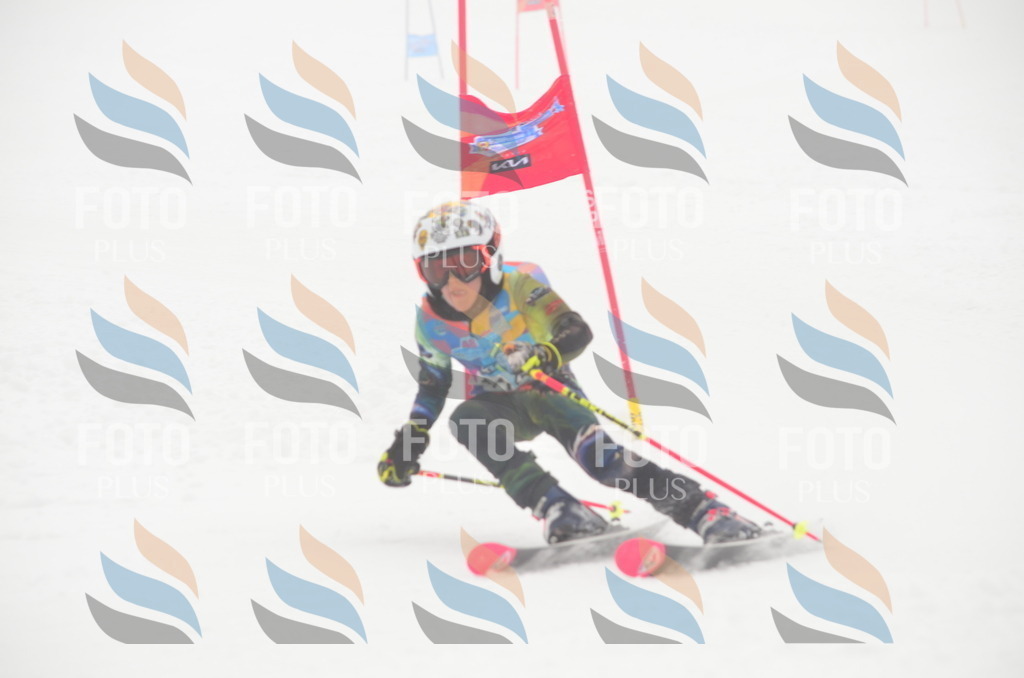 C1500 | holidayphoto