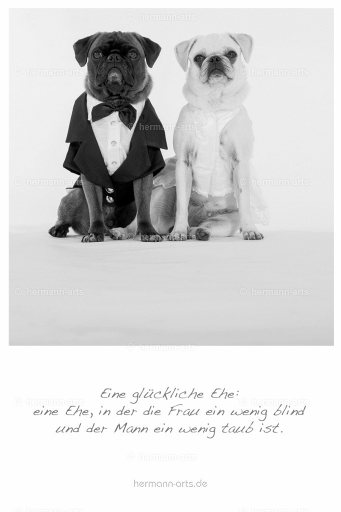 PK_Zitate_10x15_BW-062 | Photo Foto Kunst Art schwarzweiss Bilder Rheine Münster Berlin Blumen 