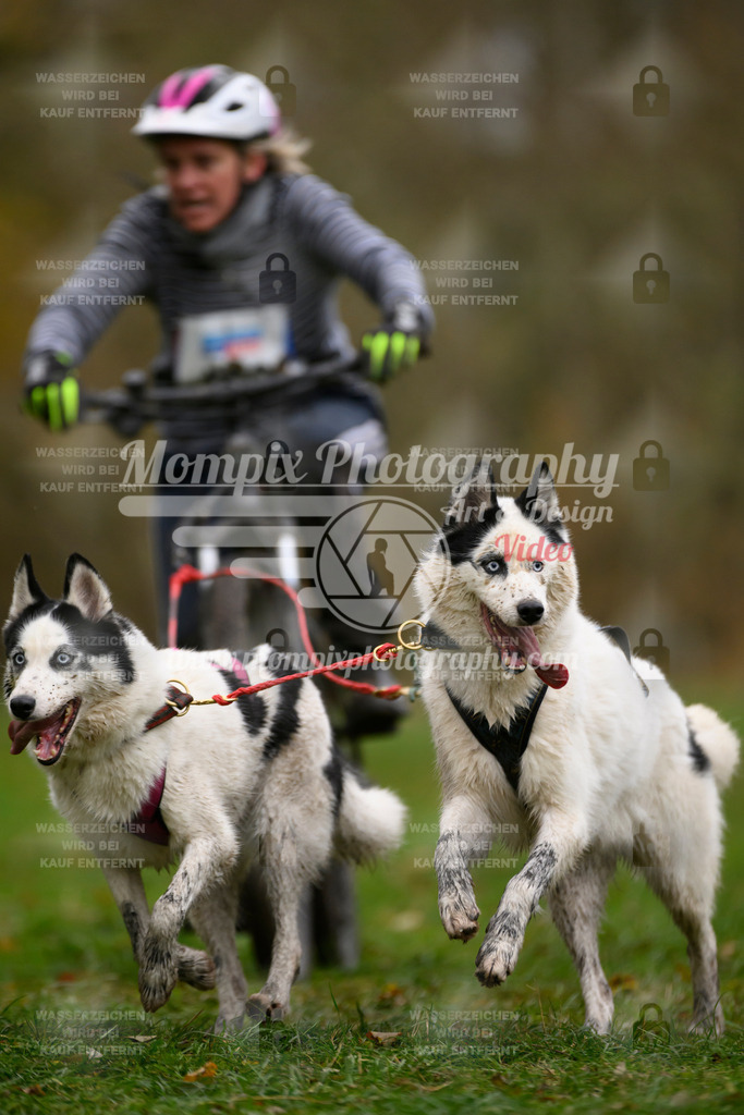MompixPhotography_Bischwiller24_SA_VTT2-42 | PayLife