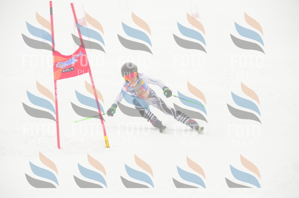 C1676 | holidayphoto