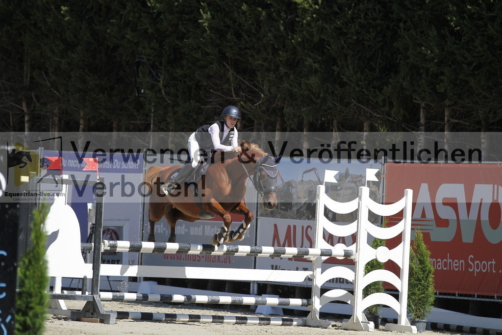_MG_4827 | equestrian-live-com