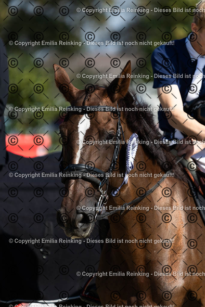 CL5A6532 | Emilia Reinking Fotografie - Realisiert mit Pictrs.com