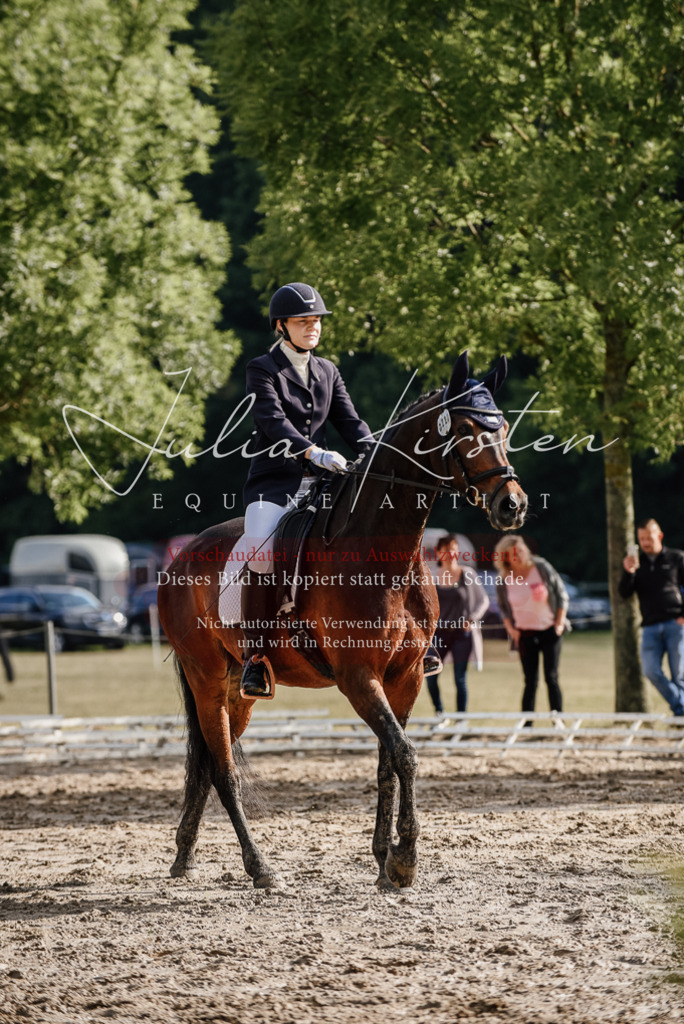 DSC_8714 | Pferde- und Turnierfotografie in Westsachsen. Pferdeportraits, Auftragszeichnungen und intuitive Kunst.