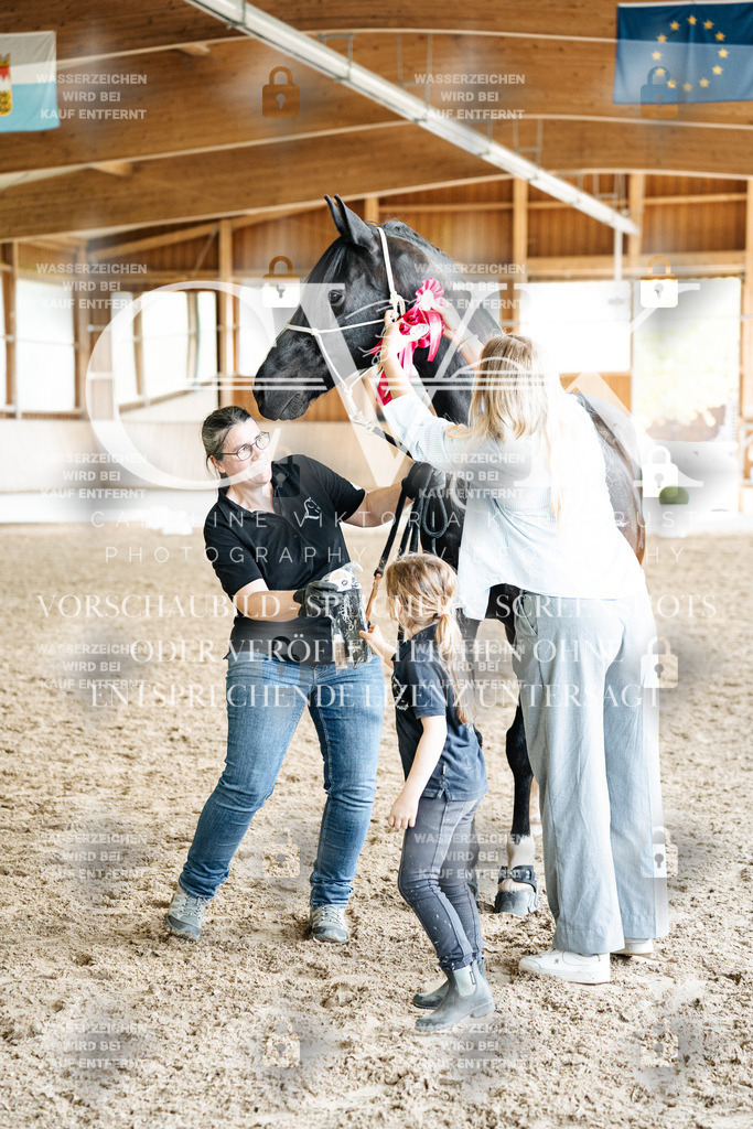CK703289 | Turnierfotografie Pferdefotografie Trier Rheinland-Pfalz Pferdesport Reitsport Tierfotografie Sportfotografie Pferdevideo Pferdevideografie Equestrianvideography equestrianphotography  - Realized with Pictrs.com