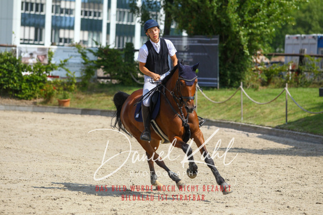 Gut Blee25_Amateuer Stilsprpfg Kl L_0321 | Turniersportfotografie; Pferdefotografie; Dressurfotografie