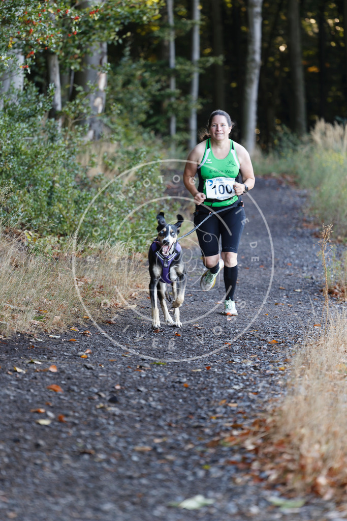 0L8A2264 | Hundefotografie, Tierfotograf, Pfotenfotografie, Fotoshooting Hund, Hunde Portrait, Hundesport, Hundeportraits, Heideshooting, Hunde, Sportfotograf, Hundefotograf, Turnierhundsport, THS,  - Realisiert mit Pictrs.com