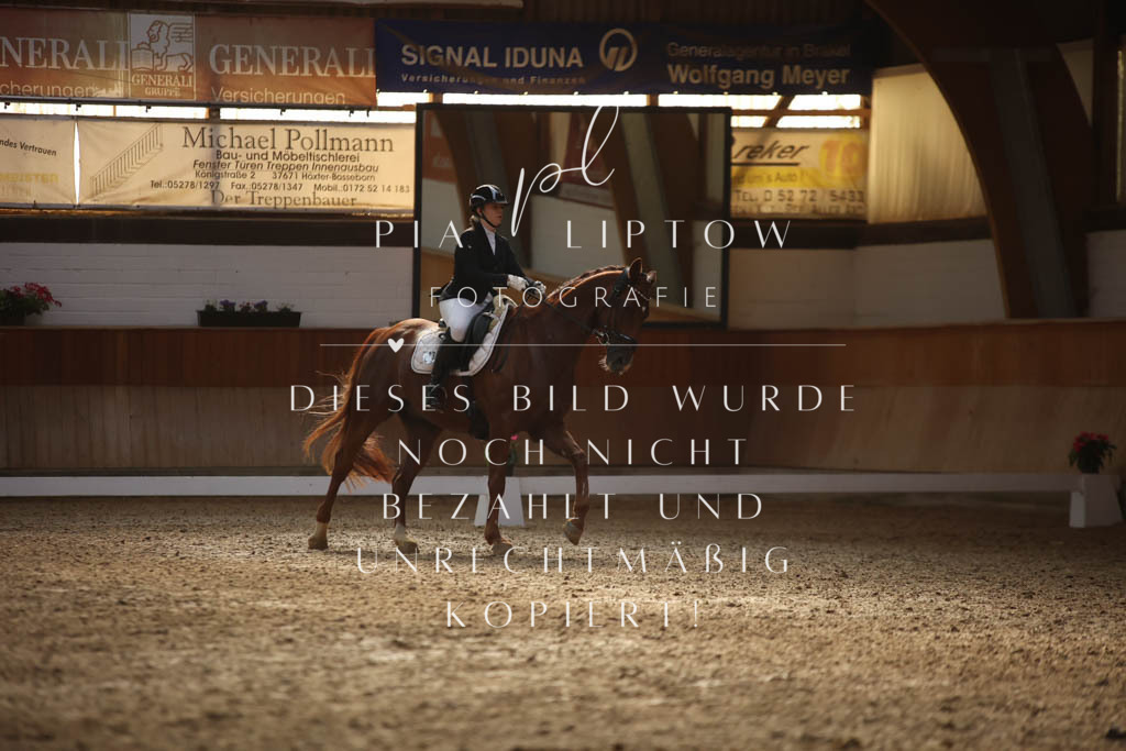 IMGS3840 | pl-fotografie