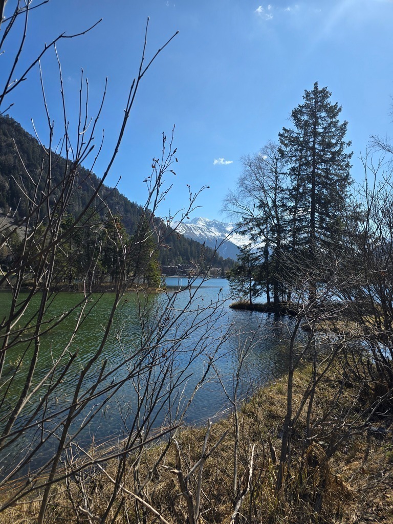 20250409_113041 | Heilkarten - Realisiert mit Pictrs.com