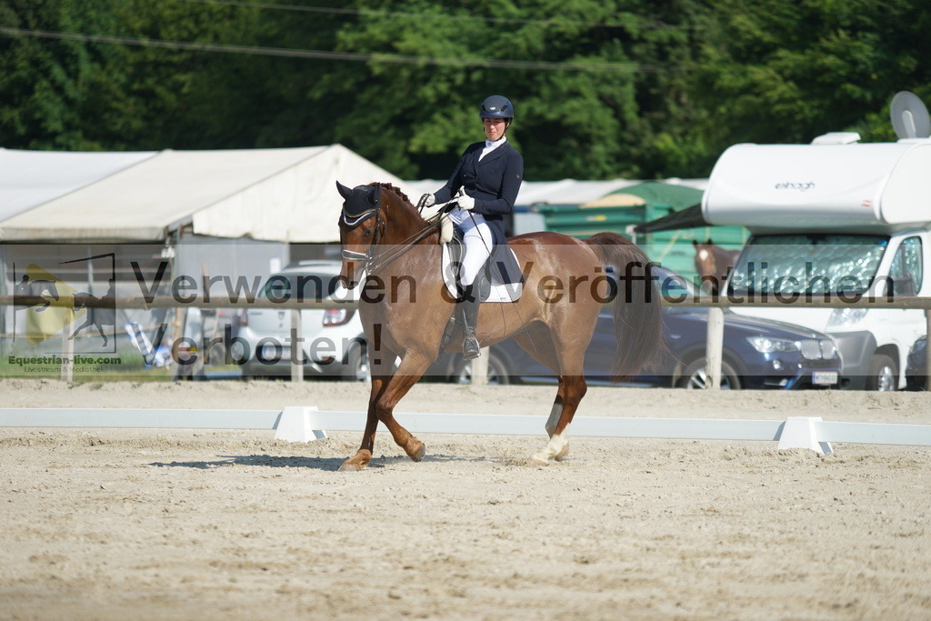 DSC02486 | equestrian-live-com