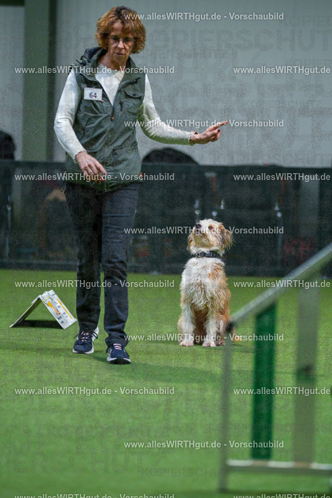 7R503401 | Professionelle Tierfotografie in Mönchengladbach von Daniel Wirth (allesWIRTHgut). Liebevolle & natürliche Bilder von Hunden & Katzen für unvergessliche Erinnerungen.