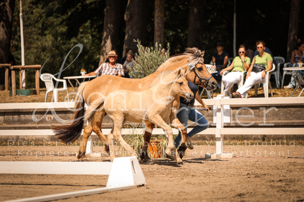 05.DoF00012 | Leoni Ertmer Photography - Realisiert mit Pictrs.com