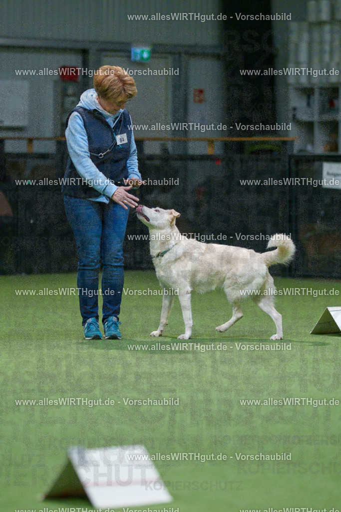 7R507936 | Professionelle Tierfotografie in Mönchengladbach von Daniel Wirth (allesWIRTHgut). Liebevolle & natürliche Bilder von Hunden & Katzen für unvergessliche Erinnerungen.