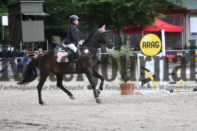 Ichenheim_2024_Prfg.Nr.26_Stilspring-WB_60cm_Anna-Lena Jerger_Nice Guy 11 (2) | Alle Fotos der Reiterjournal Fotografin Doris Matthaes im Reiterjournal Online-Fotoshop. - Realisiert mit Pictrs.com