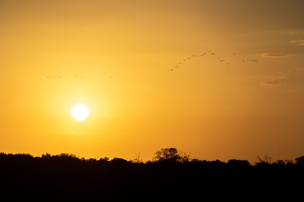 DeltaTour 30.10.25 | paulependelt - Realisiert mit Pictrs.com