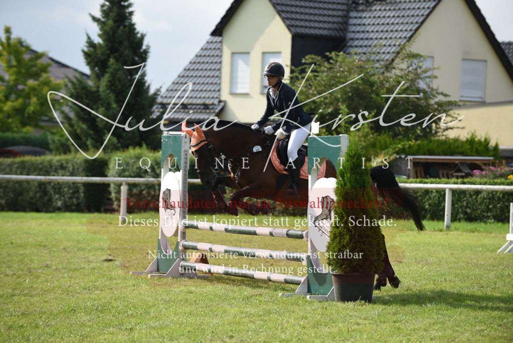 DSC_8805 | Pferde- und Turnierfotografie in Westsachsen. Pferdeportraits, Auftragszeichnungen und intuitive Kunst.