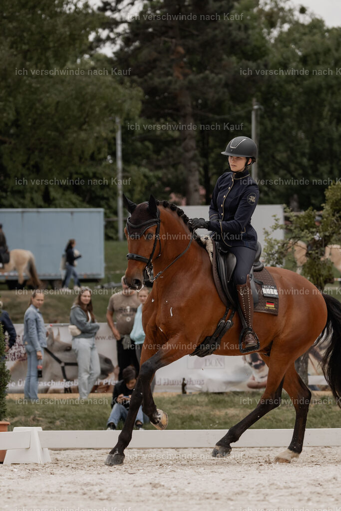 WE_DR_Stoib_335_PI2025_408 | Pferd International München 2025