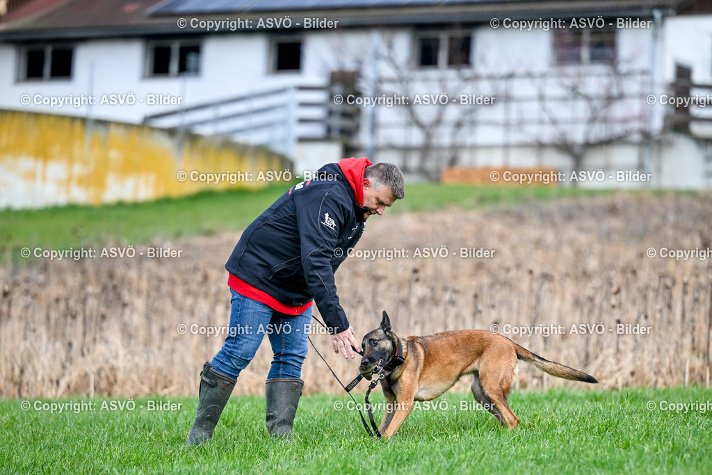 ASVÖ_ Tracking Dog World Championship 2025_ 31.03.2025-49 | 31.03.2025, AUT, ASVÖ, Tracking Dog World Championship // FCI IGP Fährtenhundeweltmeisterschaft 2025©fodo.media / Harald Dostal - Realisiert mit Pictrs.com