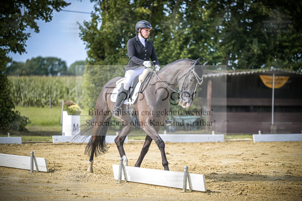 DOS_7889 | Entdecke hochwertige Reitturnierfotos von Foto Oger. Professionell, emotional und authentisch – jetzt Lieblingsmomente im Shop bestellen. - Realisiert mit Pictrs.com