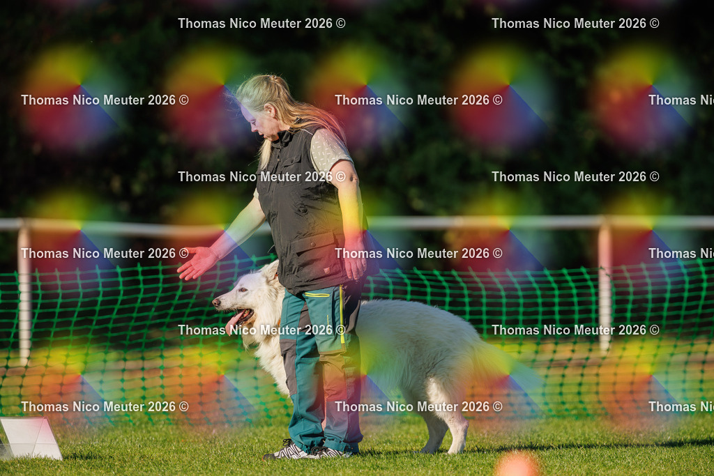 Thomas_Nico_Meuter(C)_04. Oktober 2026_223A4114 | Bild von Thomas Nico Meuter - Realisiert mit Pictrs.com