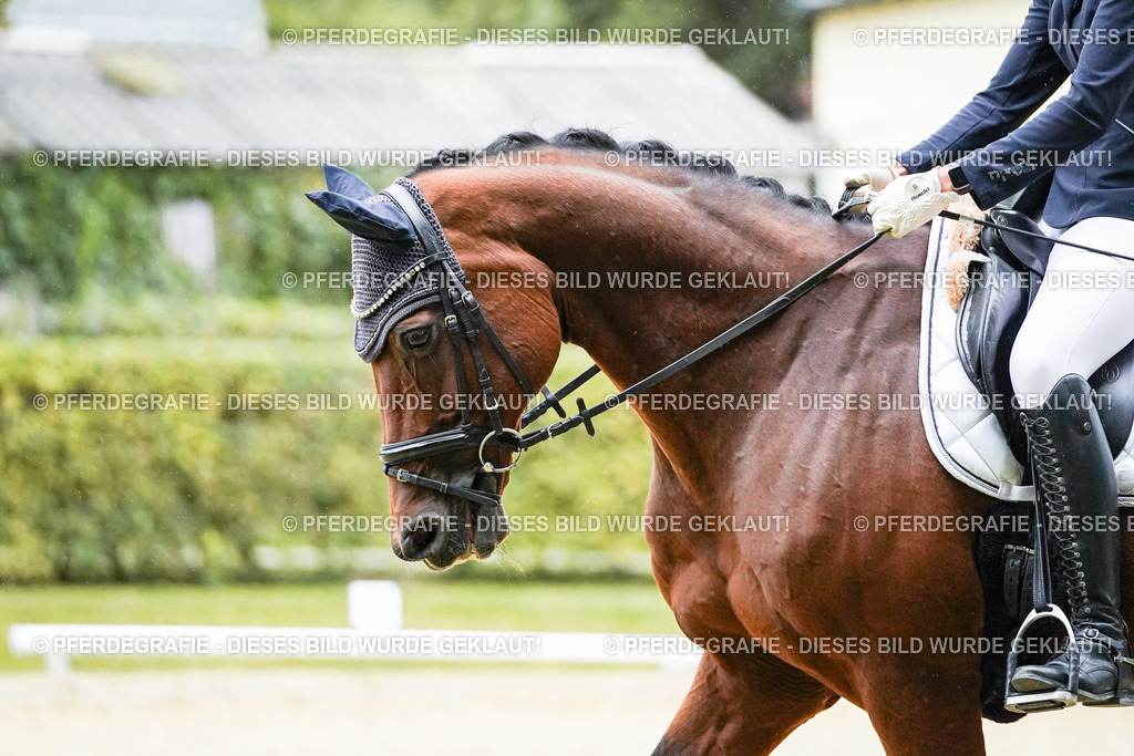 DSC00318 | Pferdegrafie