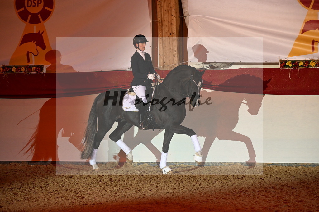 Bonds in Gold_Aringer_3262871 | hf-fotografie - Realisiert mit Pictrs.com