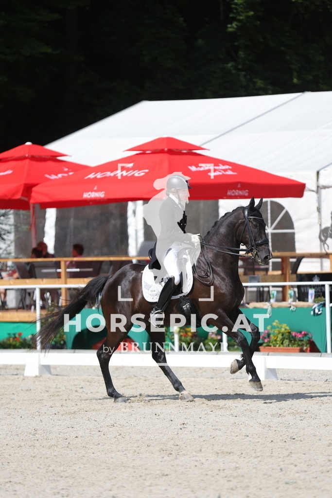 0P6A2130 | Willkommen bei Brunnmayr - Design & Fotografie – Ihrem Spezialisten für Reitturniere und Pferdeveranstaltungen in Oberösterreich, Salzburg und Bayern! Seit über 17 Jahren sind wir leidenschaftlich dabei.