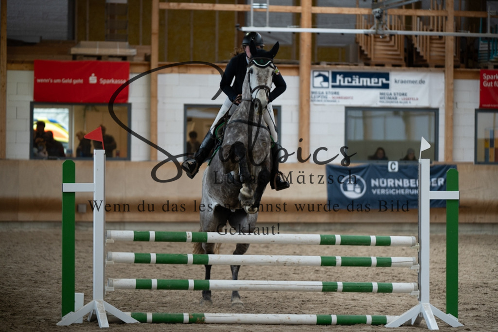 A7V00575 | Pferdefotograf