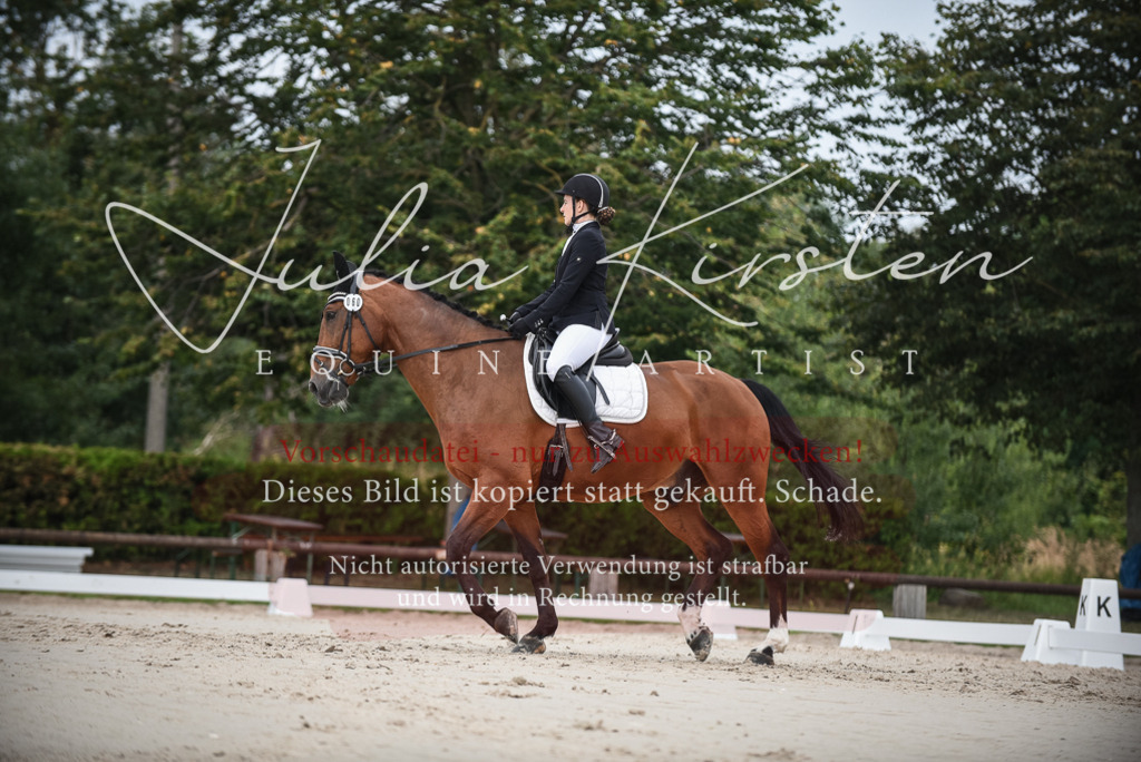 DSC_8073 | Pferde- und Turnierfotografie in Westsachsen. Pferdeportraits, Auftragszeichnungen und intuitive Kunst.