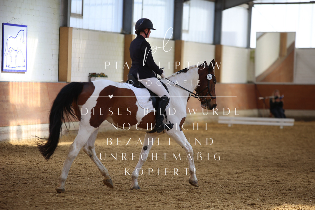 IMGT4596 | pl-fotografie