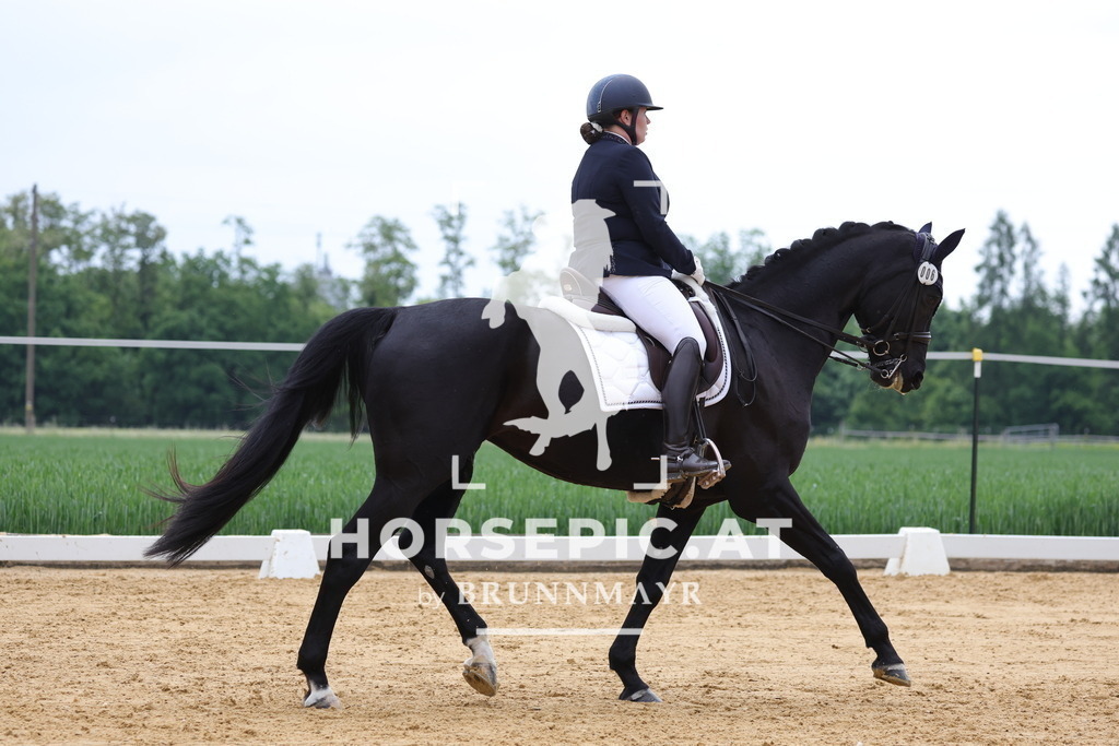 0P6A4610 | Willkommen bei Brunnmayr - Design & Fotografie – Ihrem Spezialisten für Reitturniere und Pferdeveranstaltungen in Oberösterreich, Salzburg und Bayern! Seit über 17 Jahren sind wir leidenschaftlich dabei.