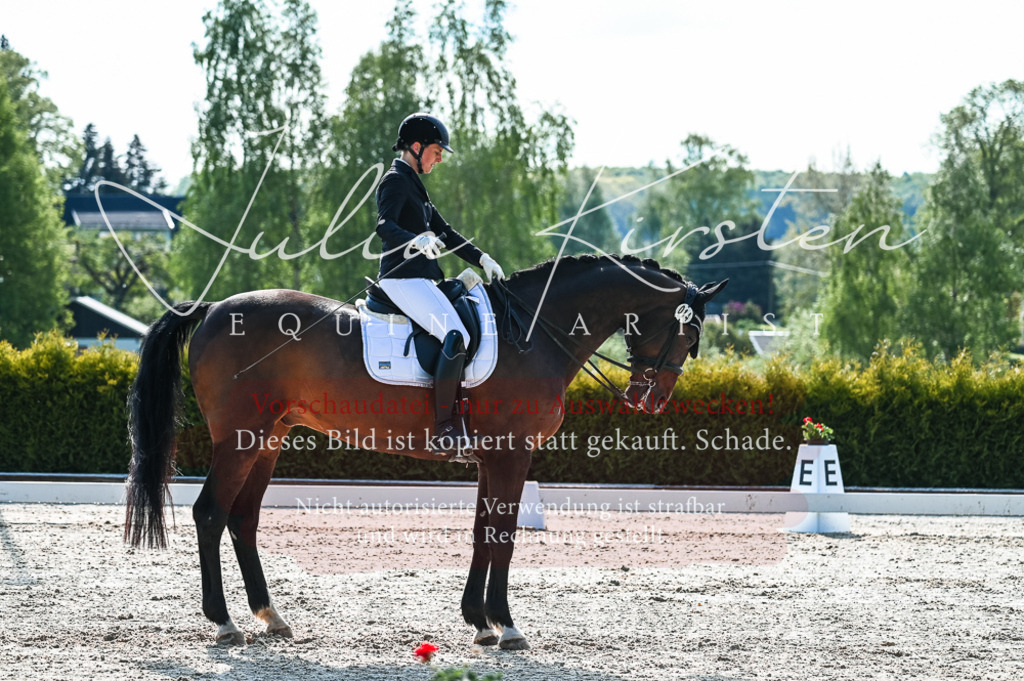 20230513_JK-Röhrsdorf-10-0164 | Pferde- und Turnierfotografie in Westsachsen. Pferdeportraits, Auftragszeichnungen und intuitive Kunst.