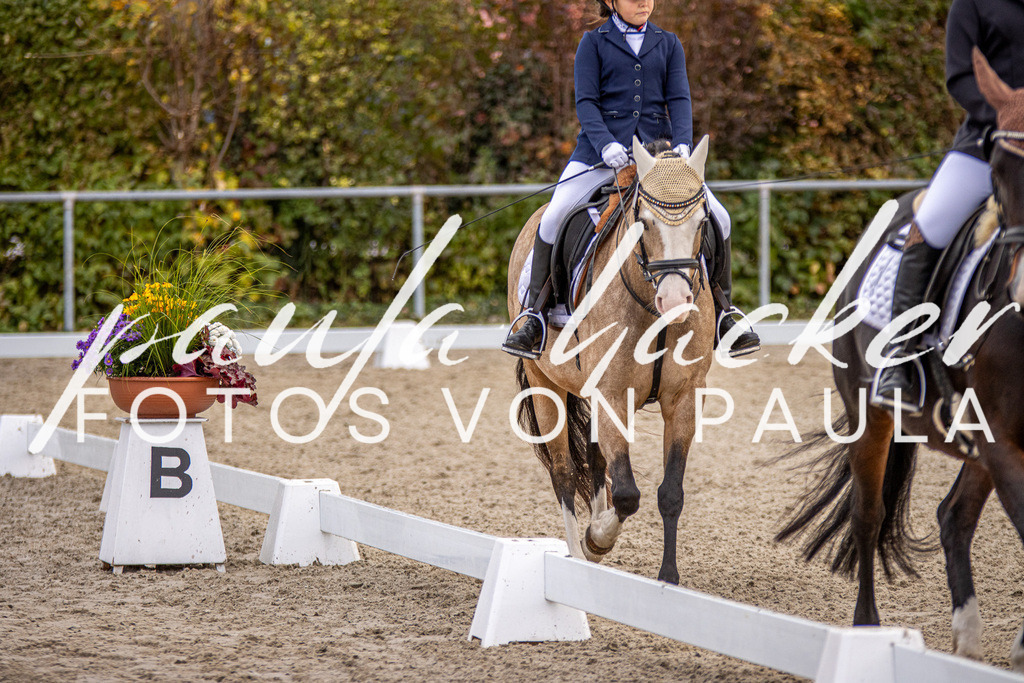 IMG_3554 | Erleben Sie dynamische Sport- und emotionale Tierfotografie in Süddeutschland mit Fotos von Paula. Spezialisiert auf Pferde- und Hundefotografie sowie Sportevents. Kontaktieren Sie mich für einzigartige und ausdrucksstarke Bilder Ihrer besonderen Momente. - Realisiert mit Pictrs.com
