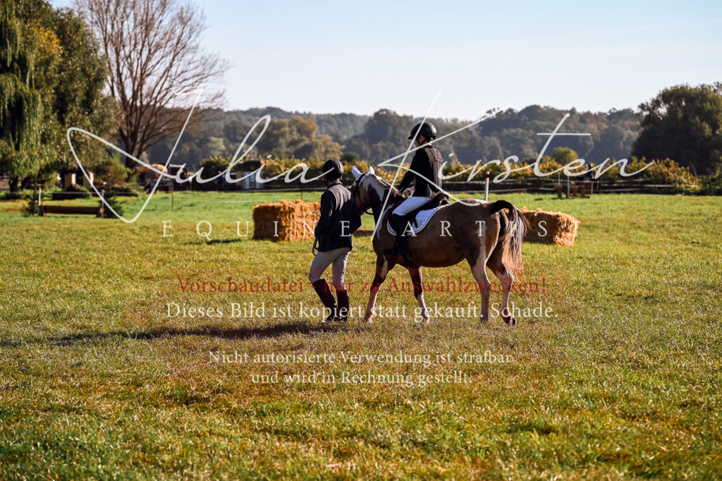 DSC_0302 | Pferde- und Turnierfotografie in Westsachsen. Pferdeportraits, Auftragszeichnungen und intuitive Kunst.