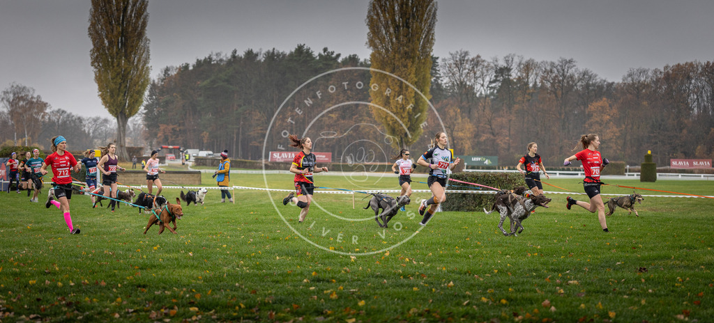 CaniXpix_DV3A8823 | Hundefotografie, Tierfotograf, Pfotenfotografie, Fotoshooting Hund, Hunde Portrait, Hundesport, Hundeportraits, Heideshooting, Hunde, Sportfotograf, Hundefotograf, Turnierhundsport, THS,  - Realisiert mit Pictrs.com