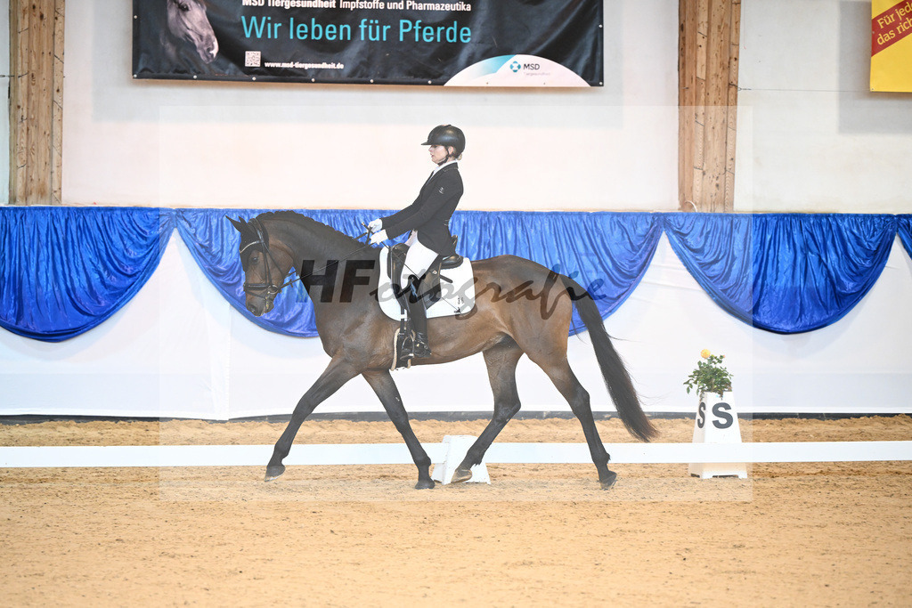 Kat-Nr. 136 TH Frederick_Mayer_14240562 | hf-fotografie - Realisiert mit Pictrs.com