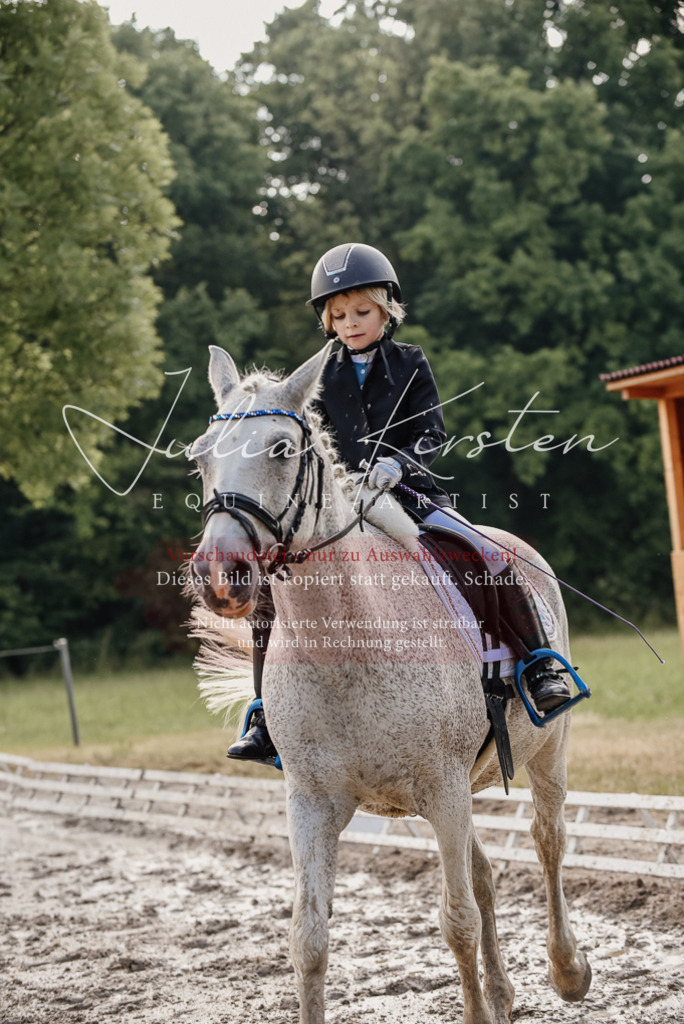 DSC_8283 | Pferde- und Turnierfotografie in Westsachsen. Pferdeportraits, Auftragszeichnungen und intuitive Kunst.
