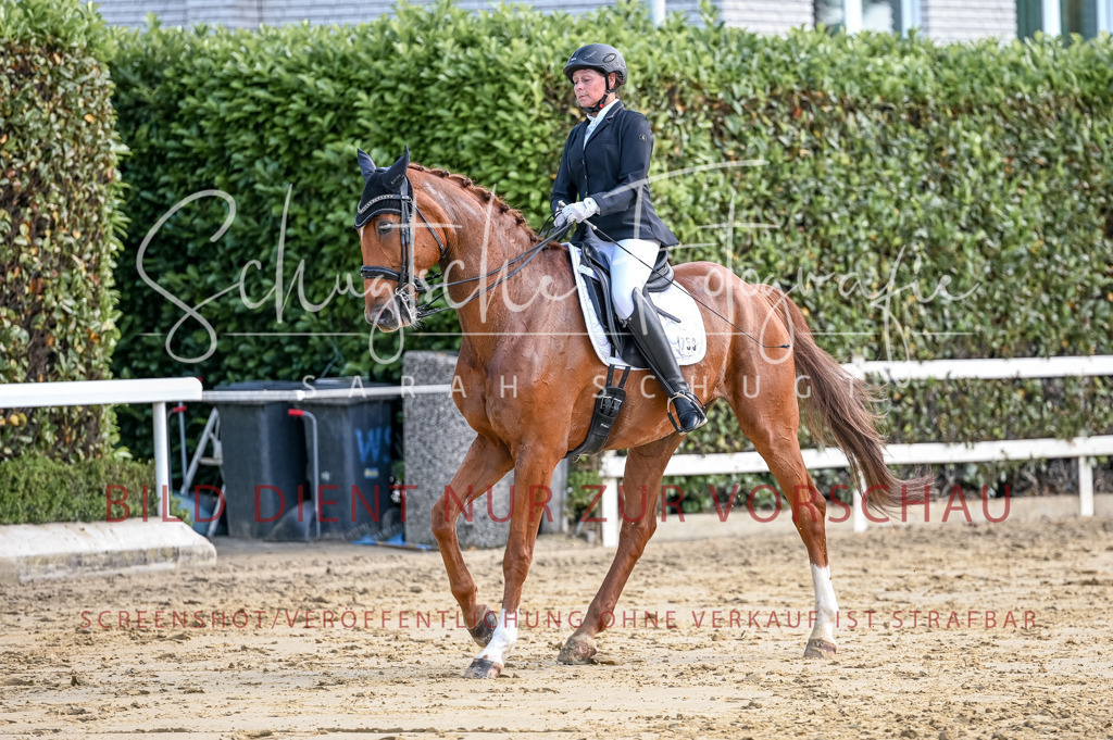 Schugtsche-Aluta25-52.Dressurprf.M2Kand-195 | Schugtsche Fotografie - Realisiert mit Pictrs.com