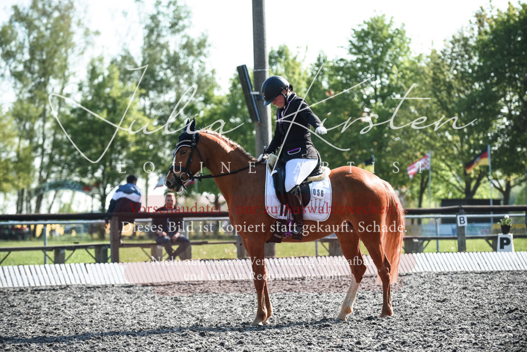 DSC_8451 | Pferde- und Turnierfotografie in Westsachsen. Pferdeportraits, Auftragszeichnungen und intuitive Kunst.