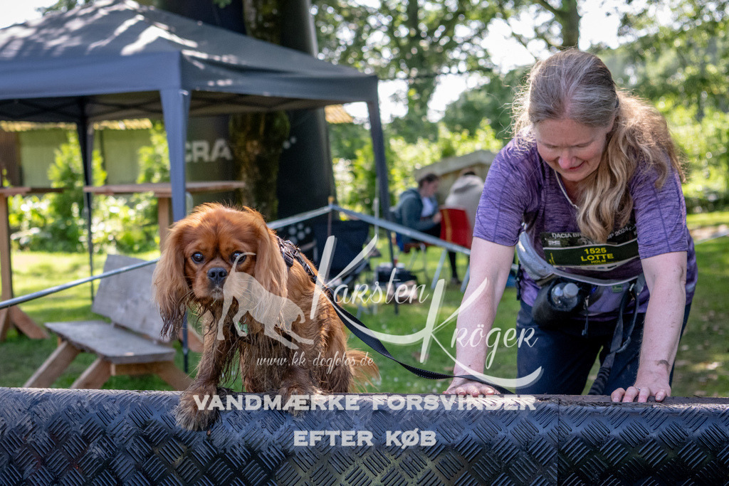 1532_ZZ91644 | kk-dogfotos