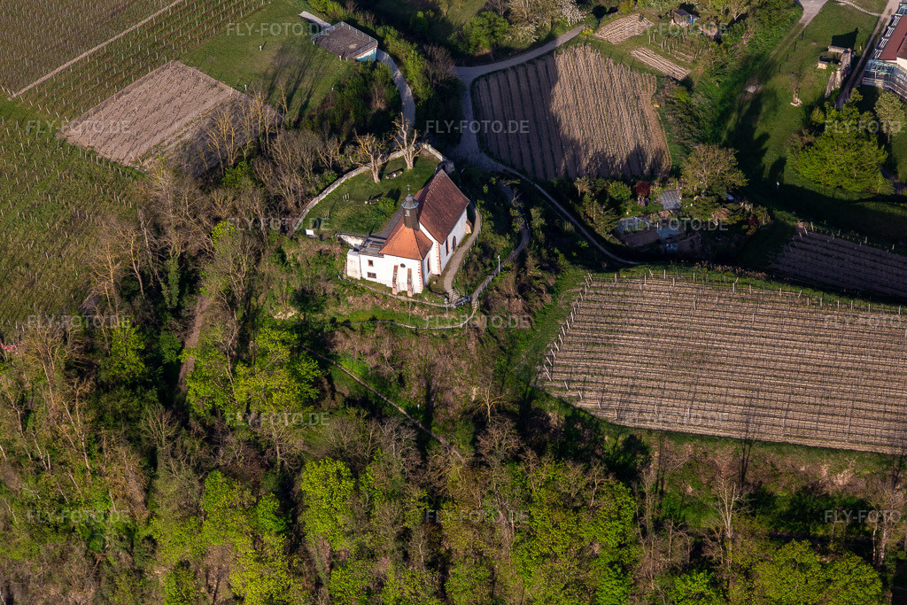 Luftbild: Kapelle Michaelskapelle in Riegel am Kaiserstuhl im Bundesland Baden-Württemberg in Deutschland. Foto: IMG_126678.jpg vom 25.04.2021 durch Werner Riehm/FLY-FOTO.de
