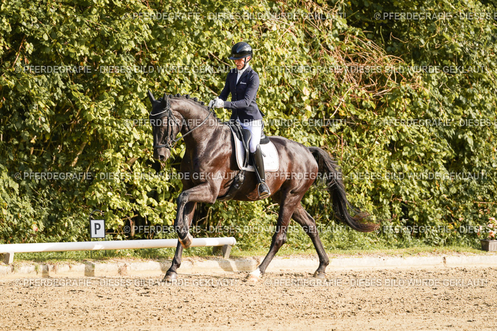 DSC04802 | Pferdegrafie