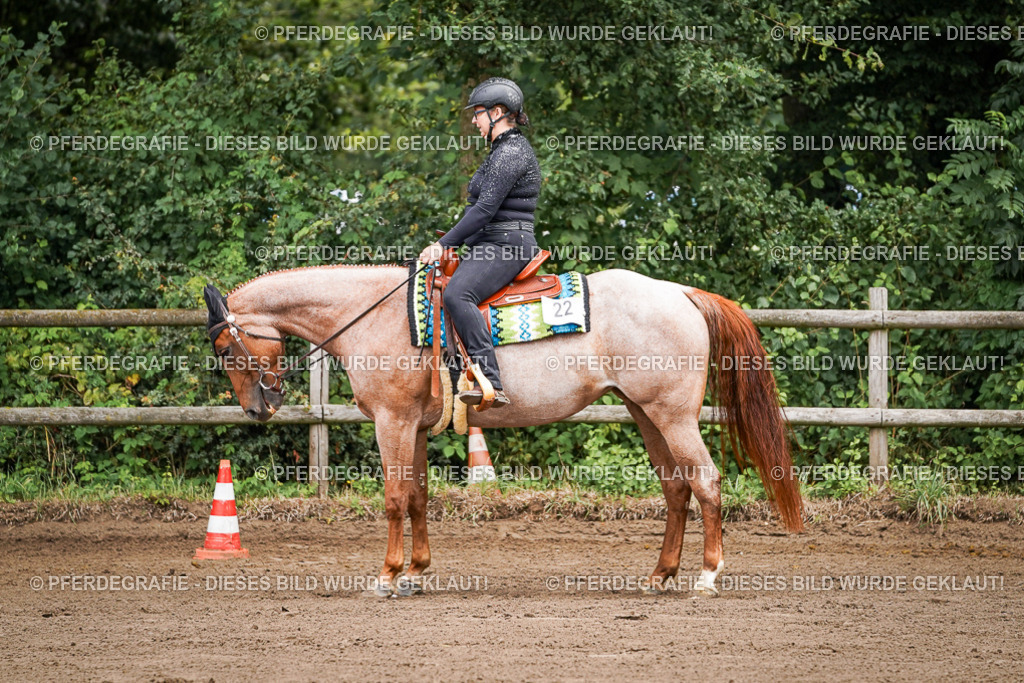 DSC05632 | Pferdegrafie