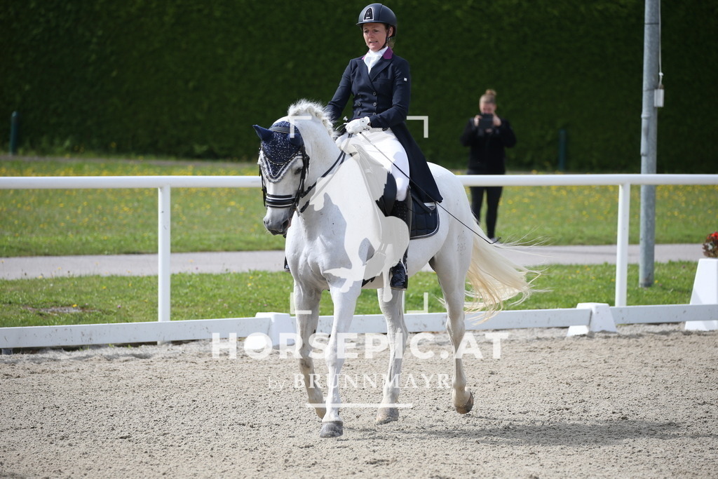 DL2Q3114 | Willkommen bei Brunnmayr - Design & Fotografie – Ihrem Spezialisten für Reitturniere und Pferdeveranstaltungen in Oberösterreich, Salzburg und Bayern! Seit über 17 Jahren sind wir leidenschaftlich dabei.